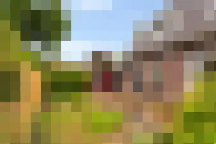Lierderstraat 9 Lieren thumbnail 47