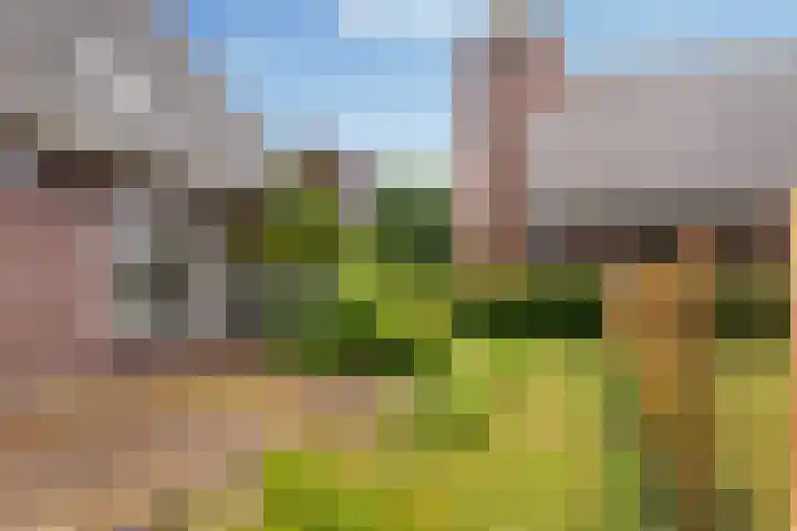 Lierderstraat 9 Lieren thumbnail 48