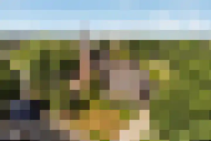 Lierderstraat 9 Lieren thumbnail 5