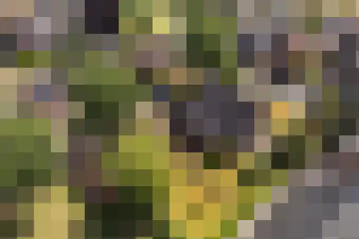 Lierderstraat 9 Lieren thumbnail 52