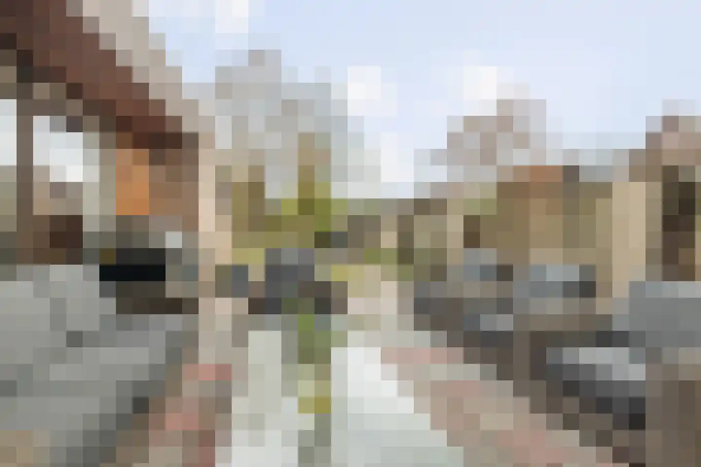Lierenbout 29 Boxtel thumbnail 47