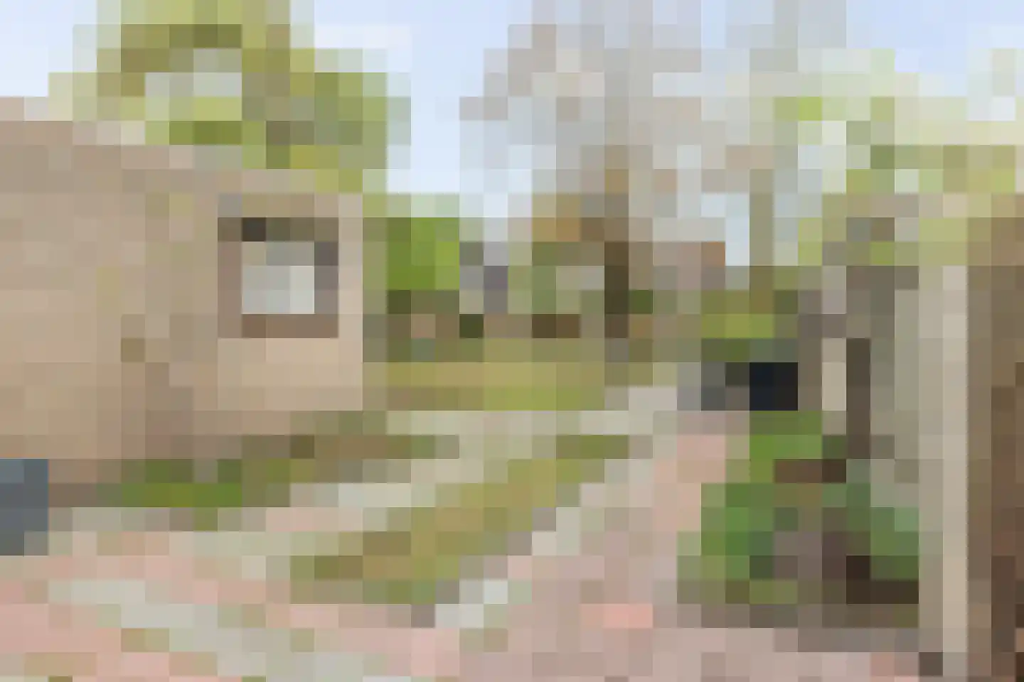 Lierenbout 29 Boxtel thumbnail 48