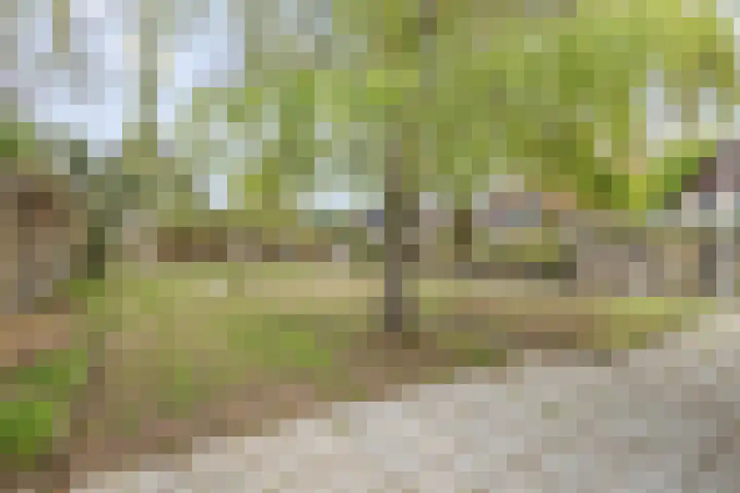 Lierenbout 29 Boxtel thumbnail 50