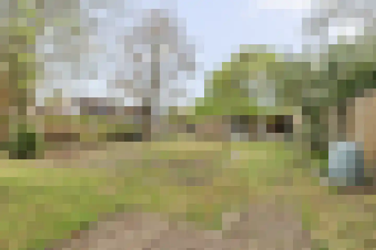 Lierenbout 29 Boxtel thumbnail 51