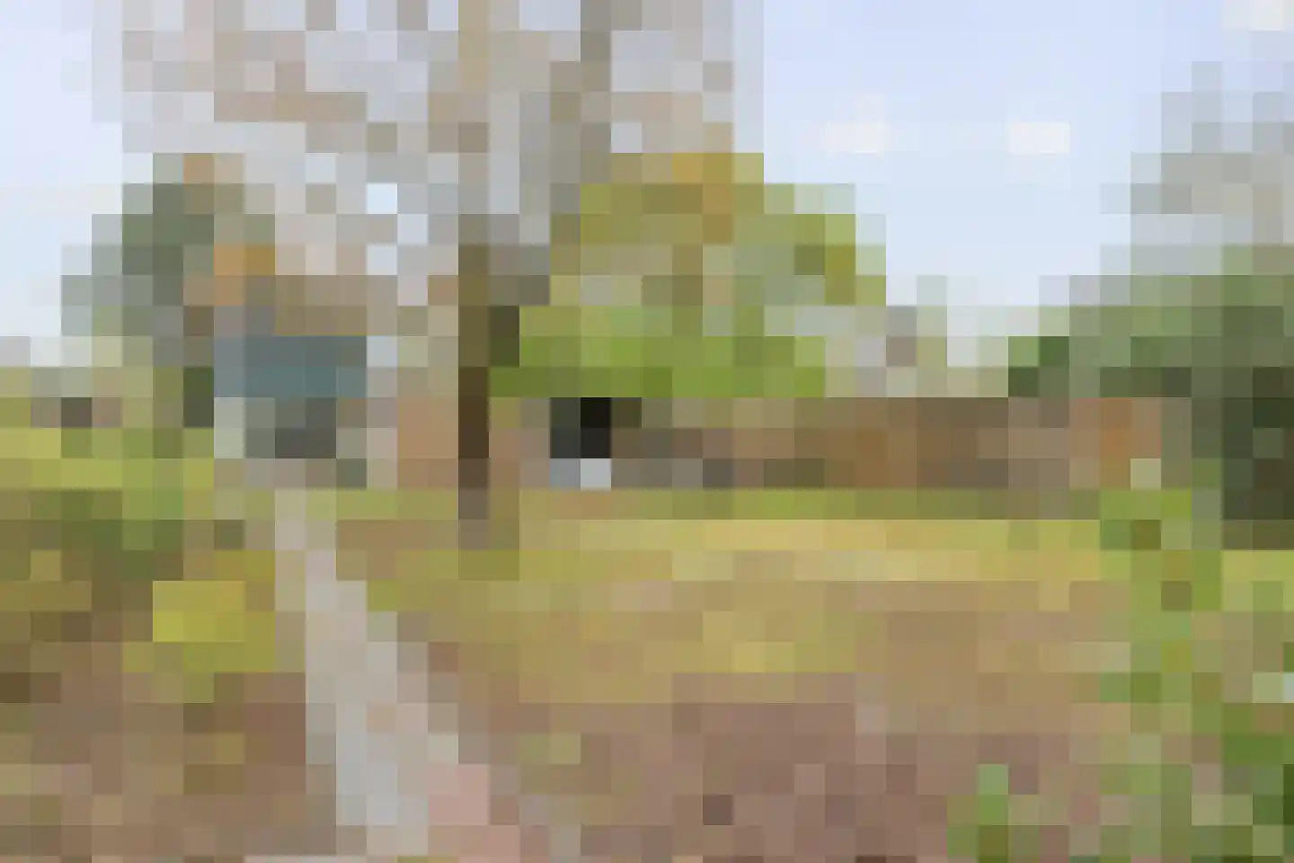Lierenbout 29 Boxtel thumbnail 53