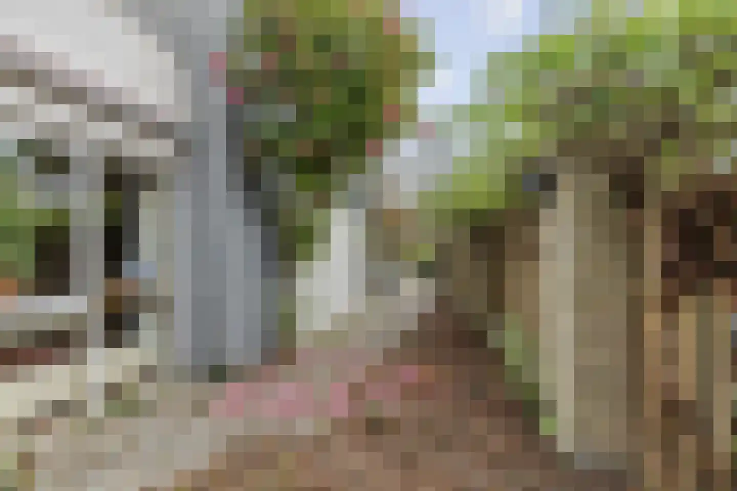 Lierenbout 29 Boxtel thumbnail 56