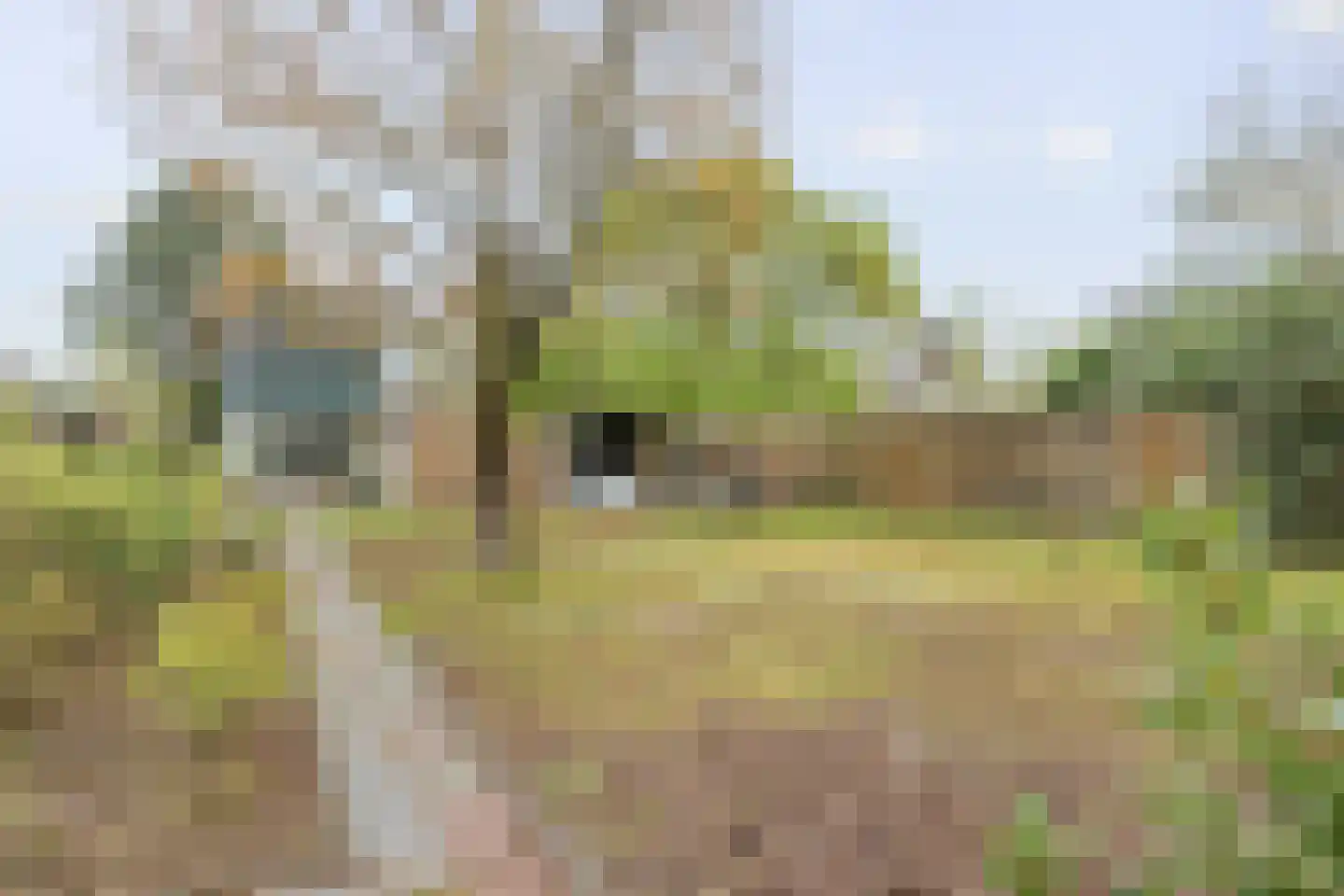 Lierenbout 29 Boxtel thumbnail 7