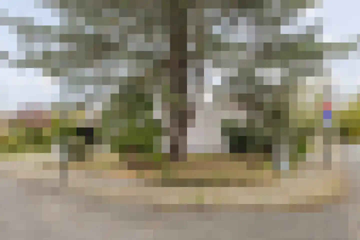 Lierenbout 29 Boxtel thumbnail 9
