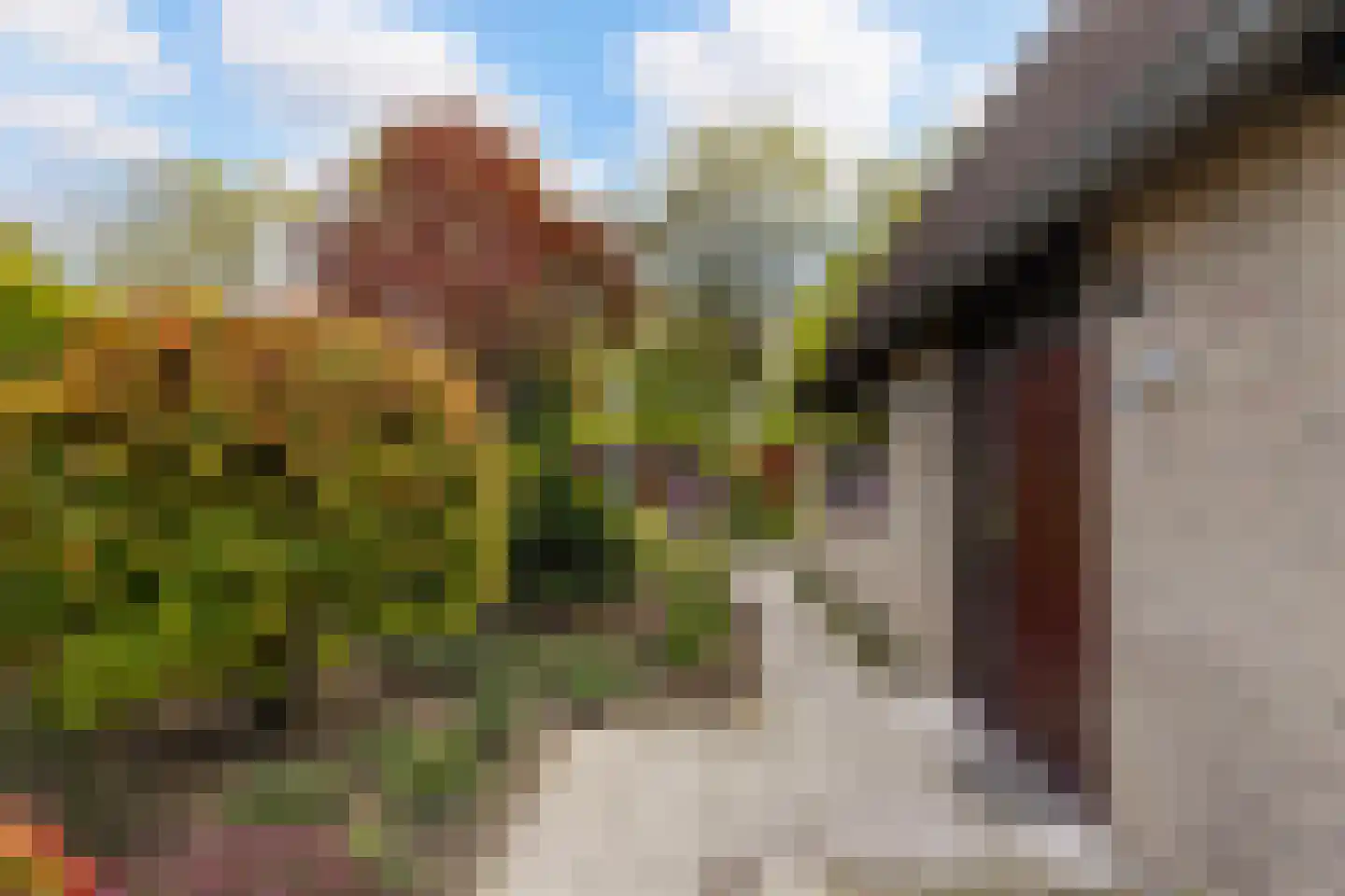 Lierenbout 35 Boxtel thumbnail 4