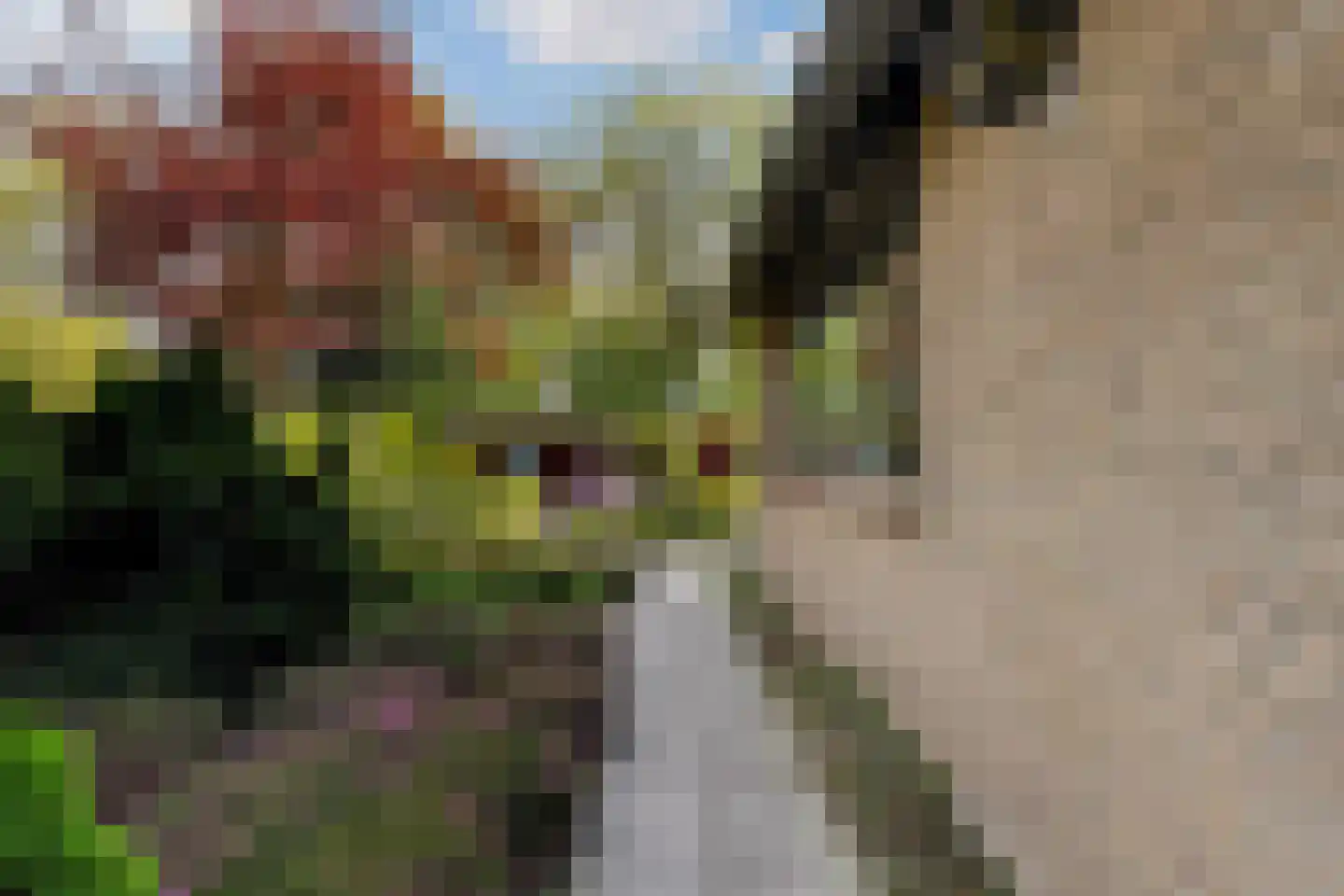 Lierenbout 35 Boxtel thumbnail 45