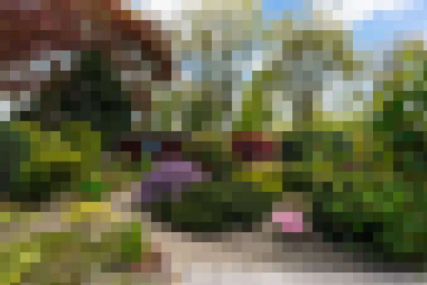 Lierenbout 35 Boxtel thumbnail 46