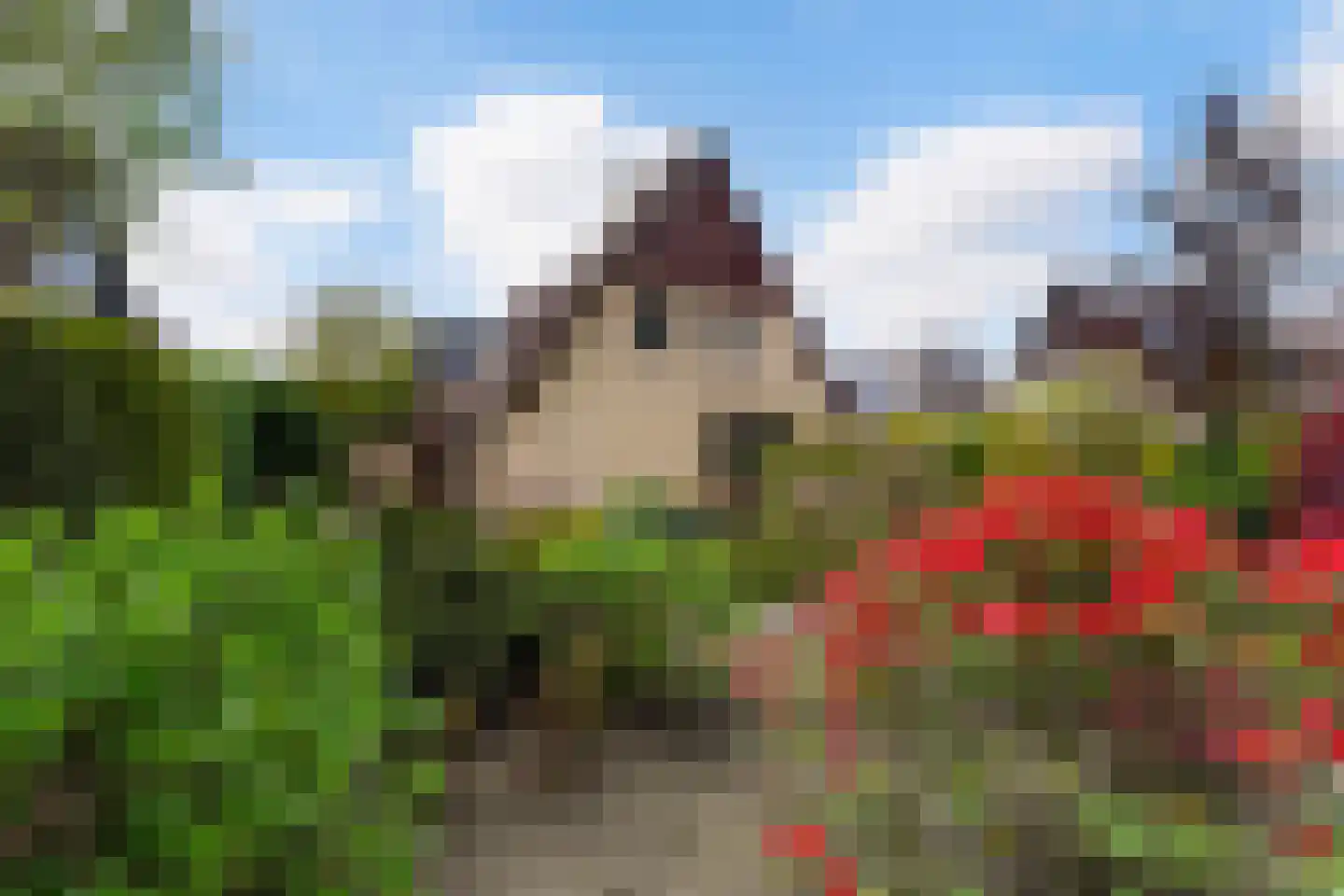 Lierenbout 35 Boxtel thumbnail 47