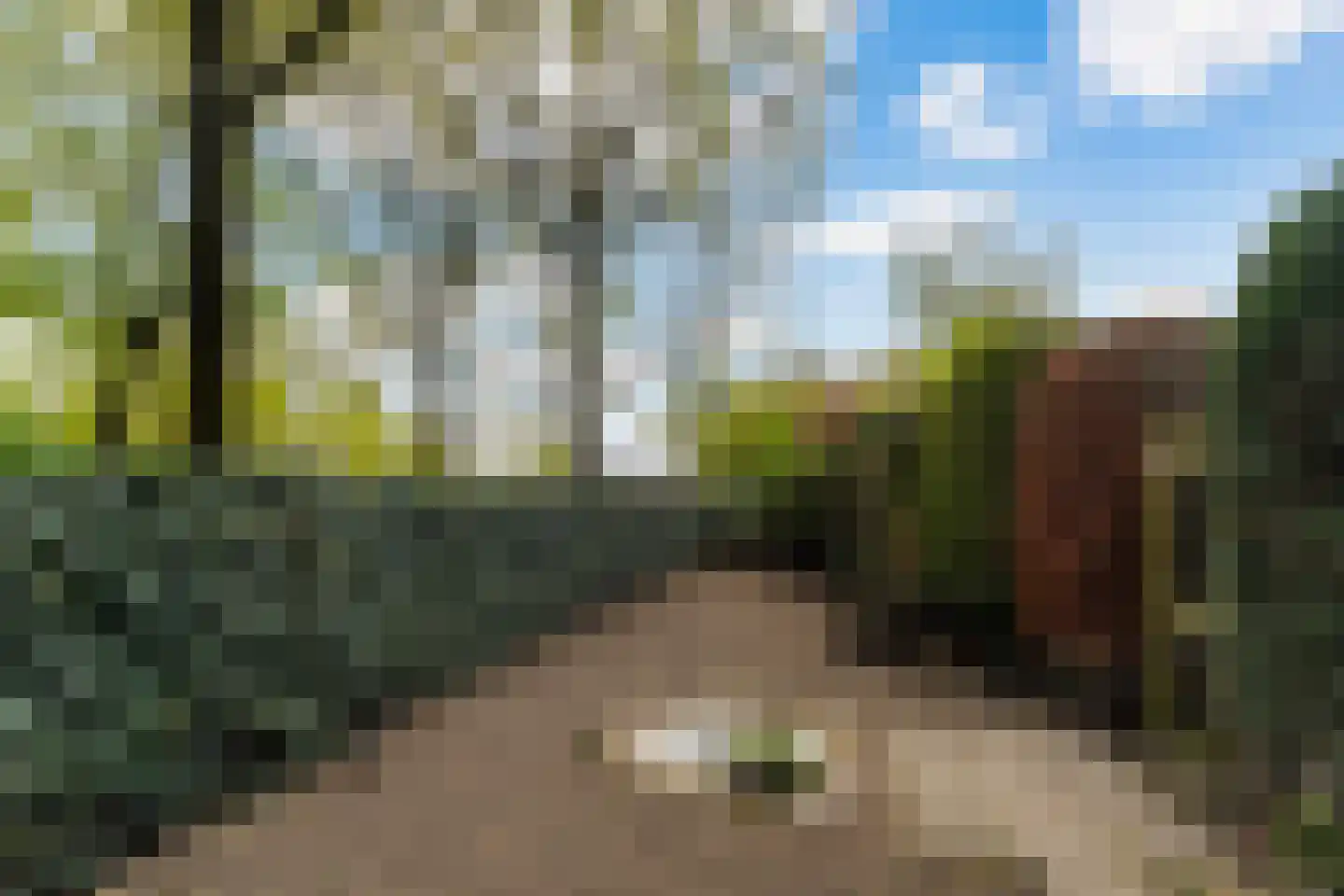 Lierenbout 35 Boxtel thumbnail 48