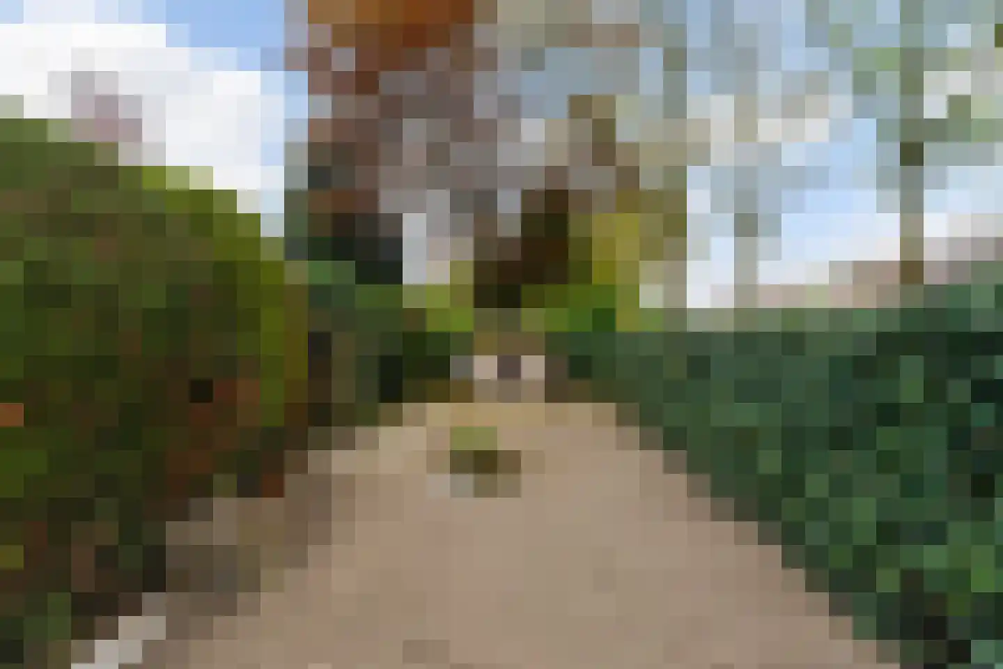 Lierenbout 35 Boxtel thumbnail 49