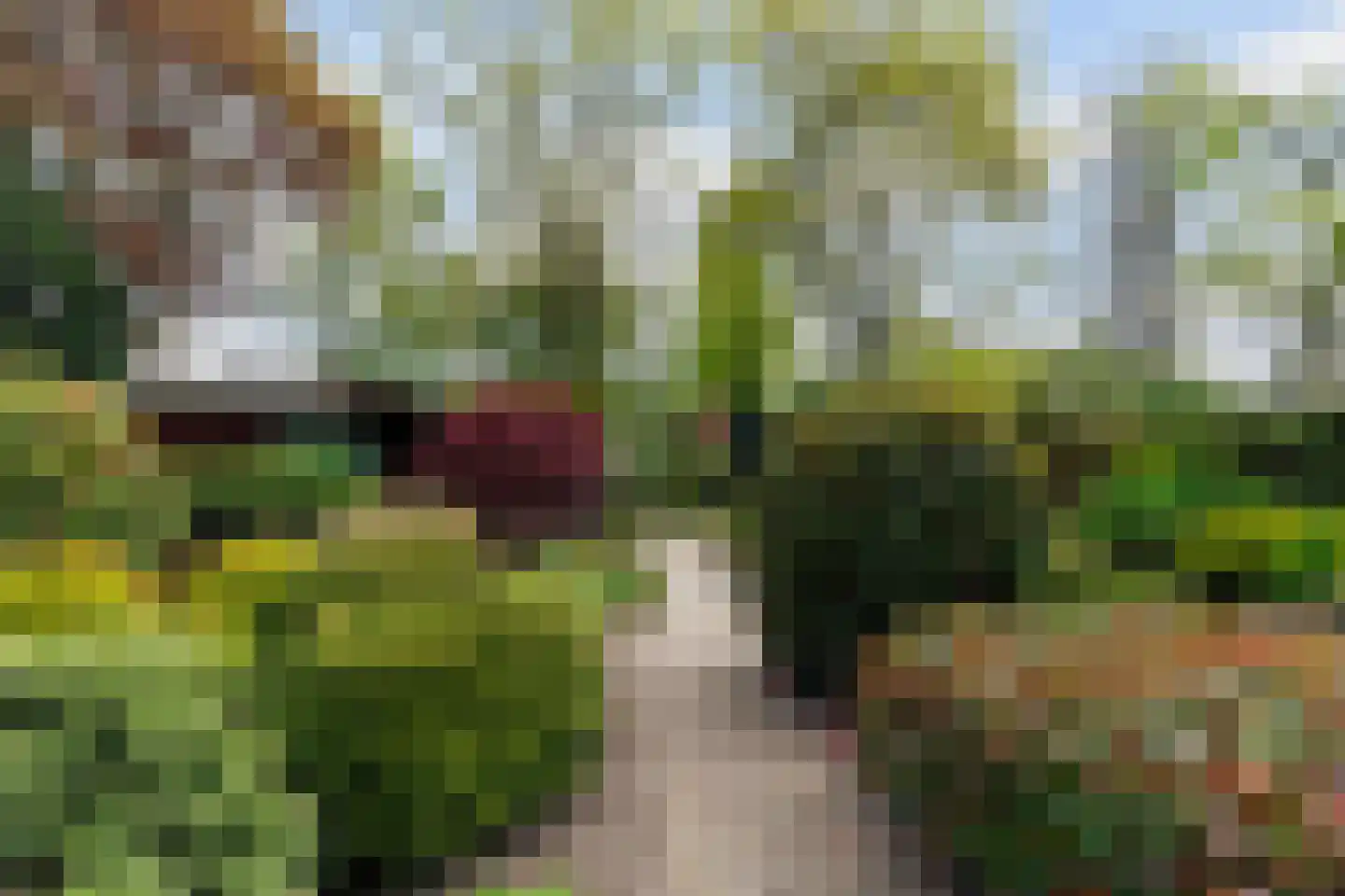 Lierenbout 35 Boxtel thumbnail 50