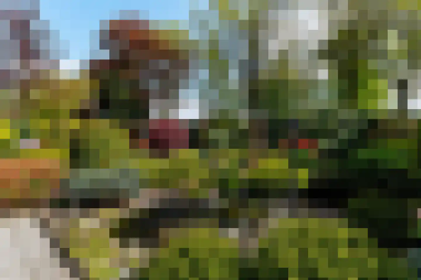Lierenbout 35 Boxtel thumbnail 52