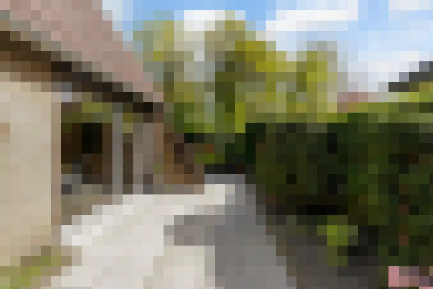 Lierenbout 35 Boxtel thumbnail 54