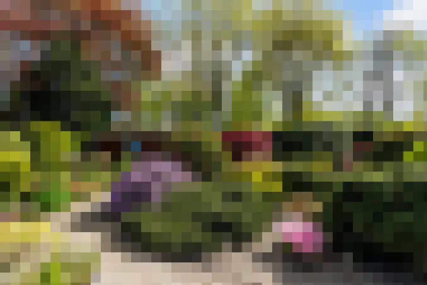 Lierenbout 35 Boxtel thumbnail 55