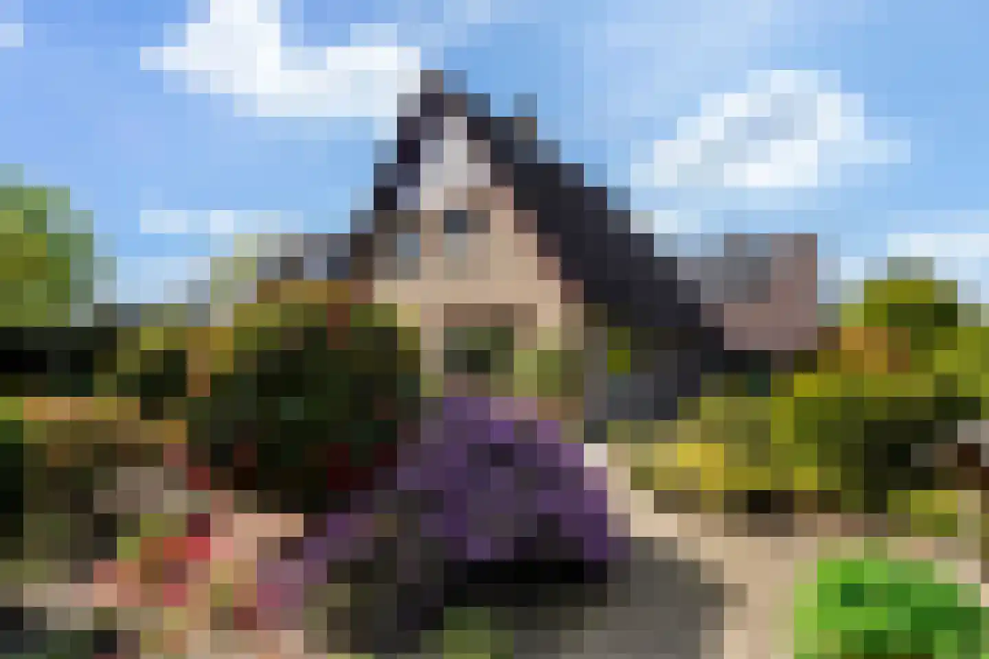 Lierenbout 35 Boxtel thumbnail 57