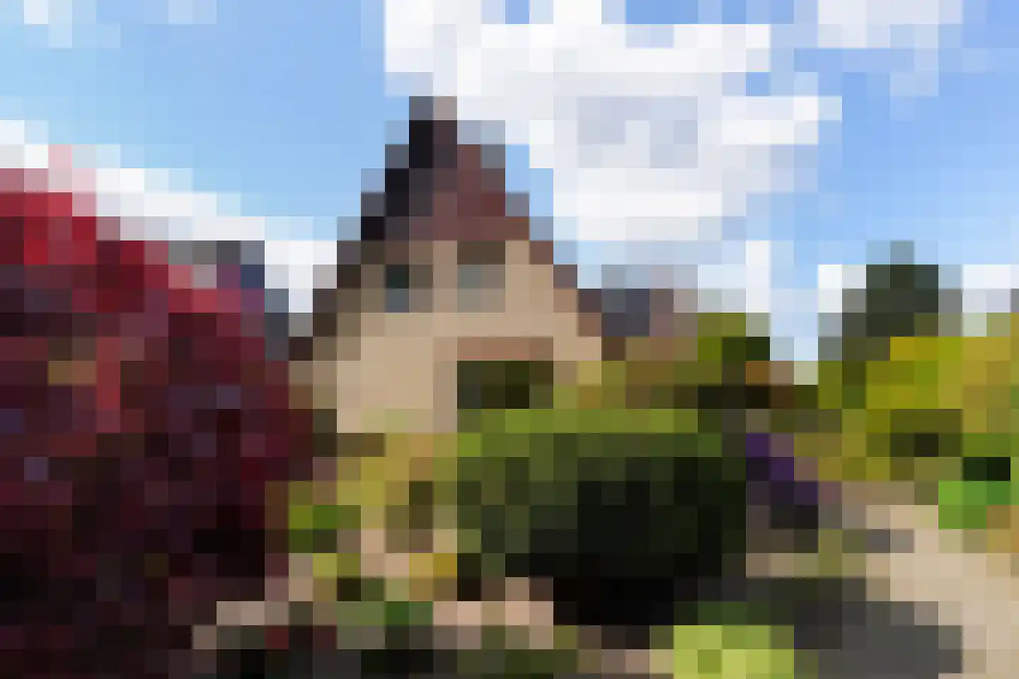Lierenbout 35 Boxtel thumbnail 58