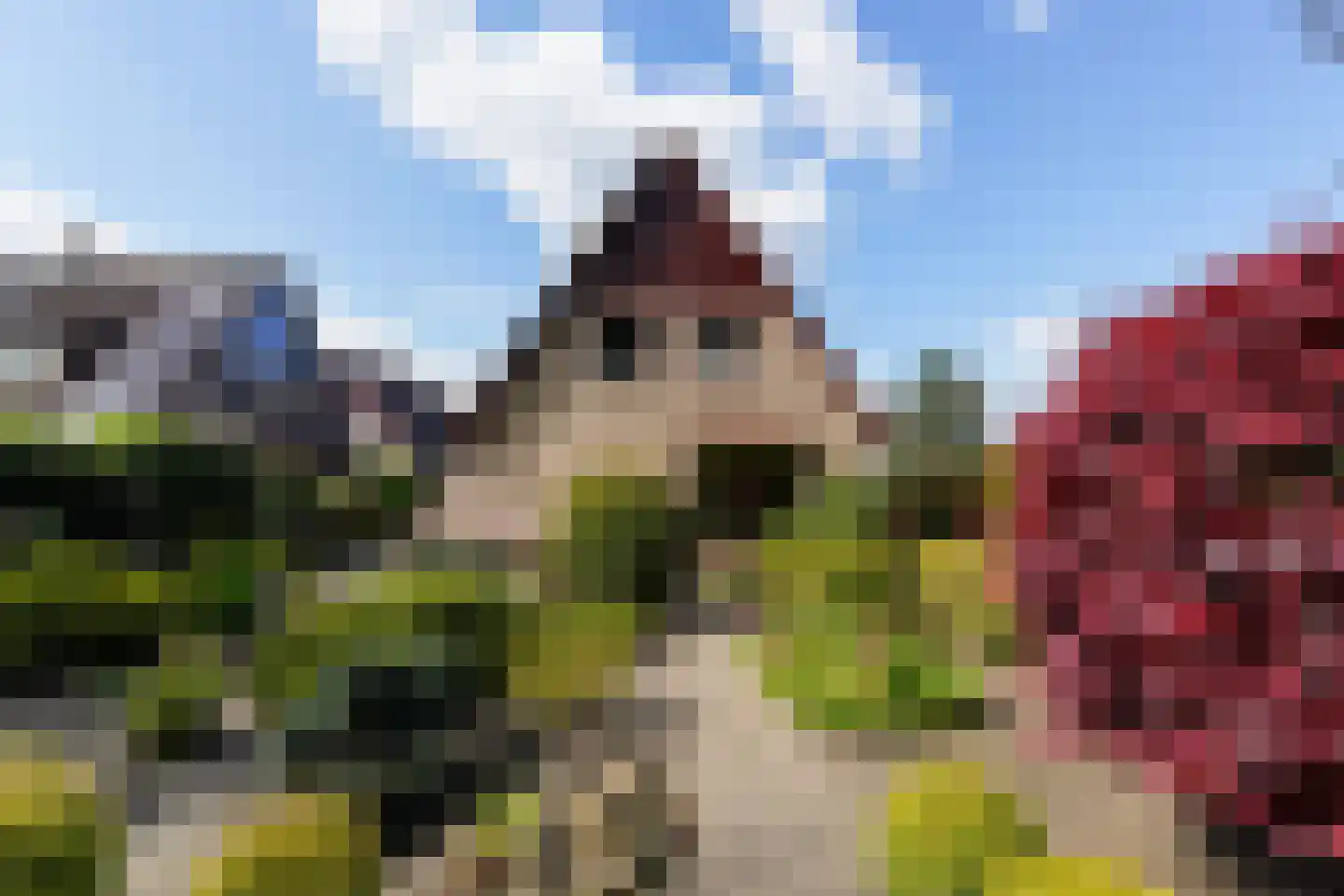 Lierenbout 35 Boxtel thumbnail 60