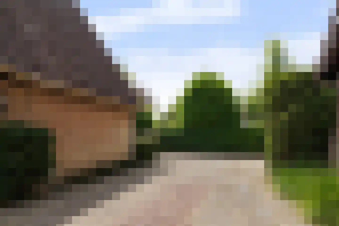 Lierenbout 64 Boxtel thumbnail 46