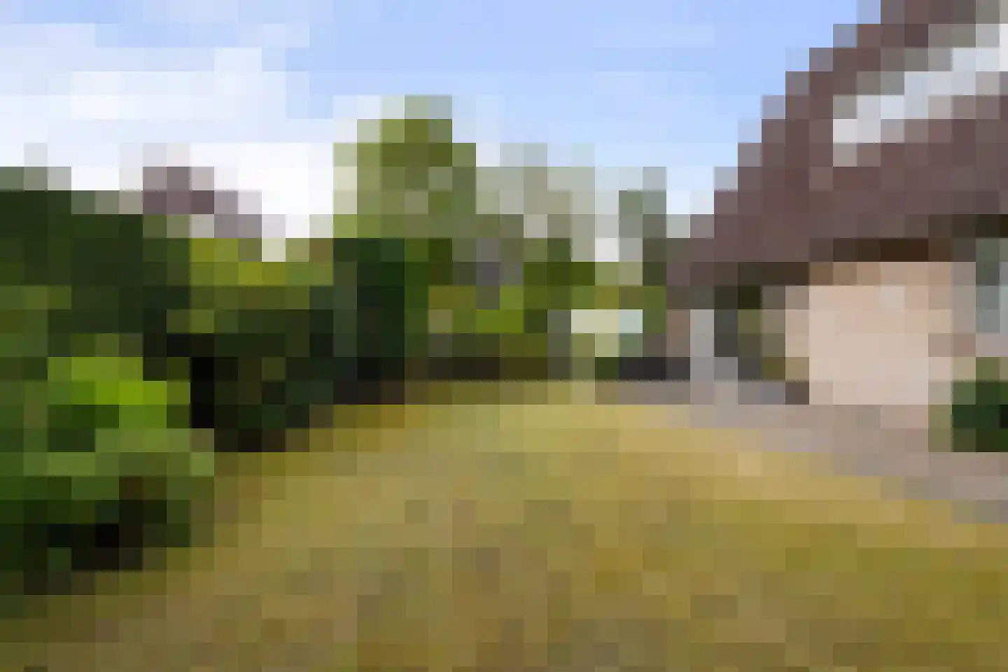 Lierenbout 64 Boxtel thumbnail 52
