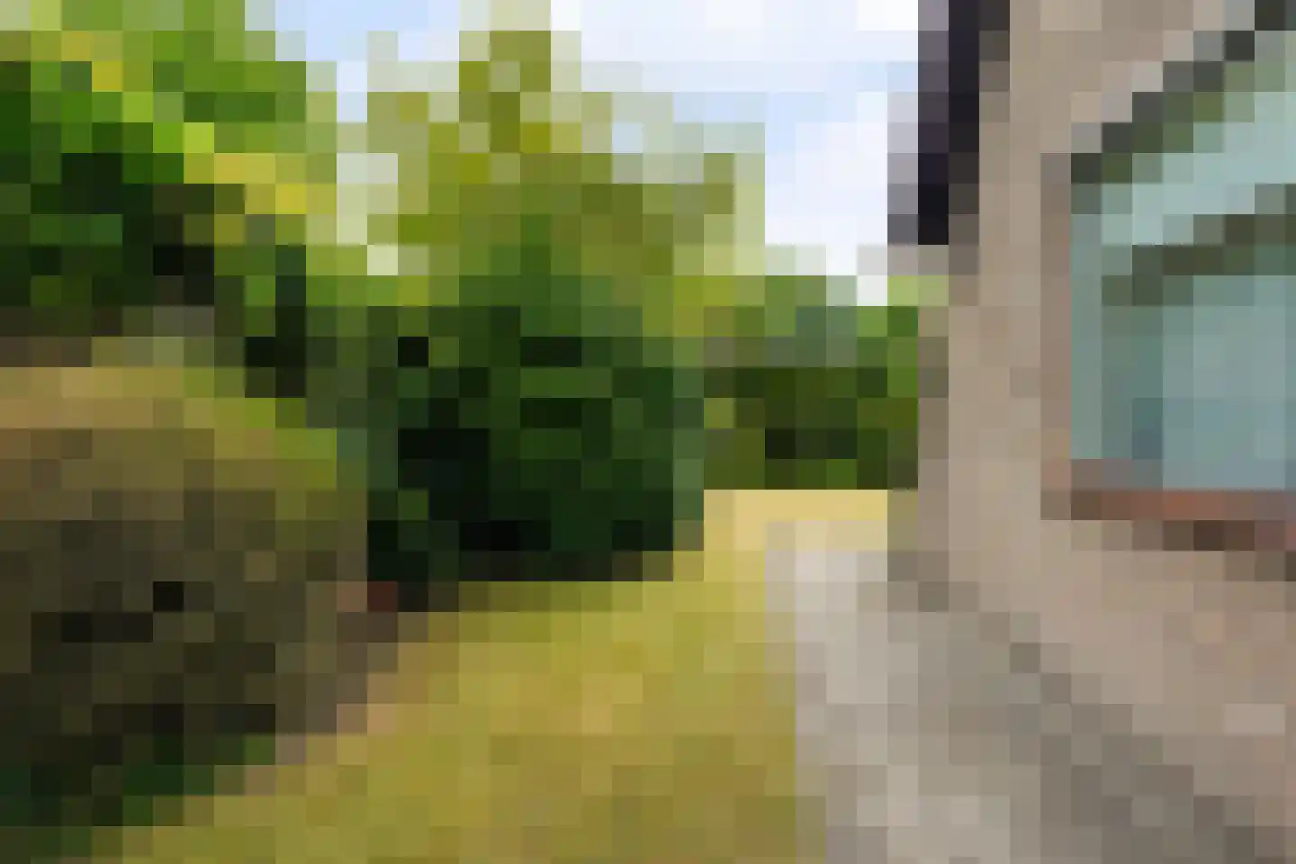 Lierenbout 64 Boxtel thumbnail 54
