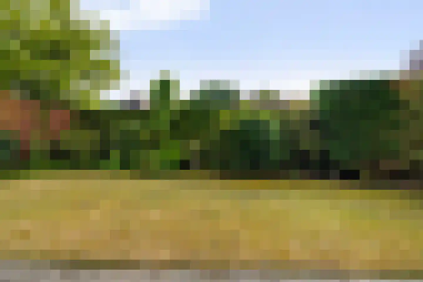 Lierenbout 64 Boxtel thumbnail 56