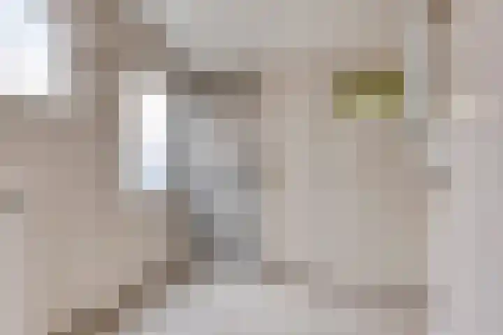 Liergouw 16 Amsterdam thumbnail 11
