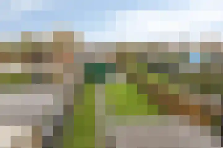 Liergouw 16 Amsterdam thumbnail 13