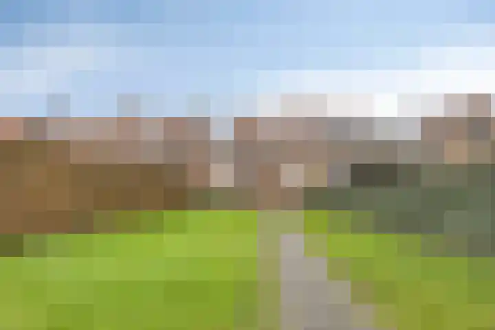 Liergouw 16 Amsterdam thumbnail 14