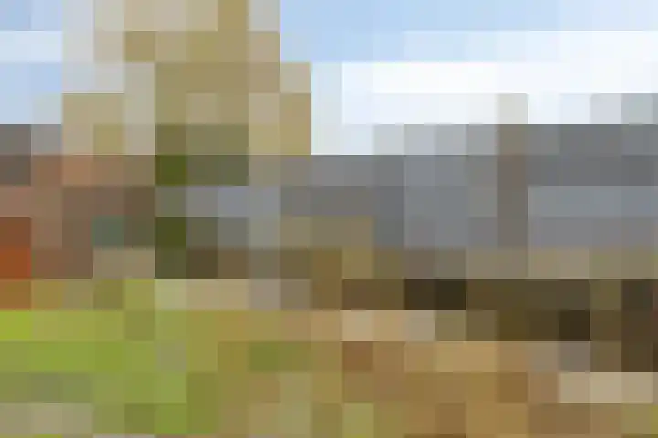 Liergouw 16 Amsterdam thumbnail 20