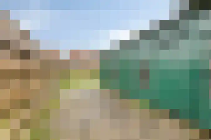 Liergouw 16 Amsterdam thumbnail 21