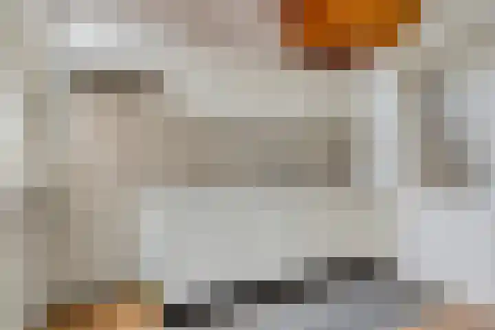 Liergouw 16 Amsterdam thumbnail 7