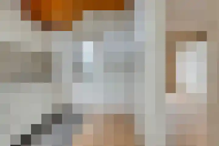 Liergouw 16 Amsterdam thumbnail 8