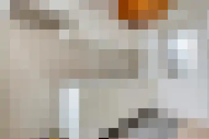 Liergouw 16 Amsterdam thumbnail 9