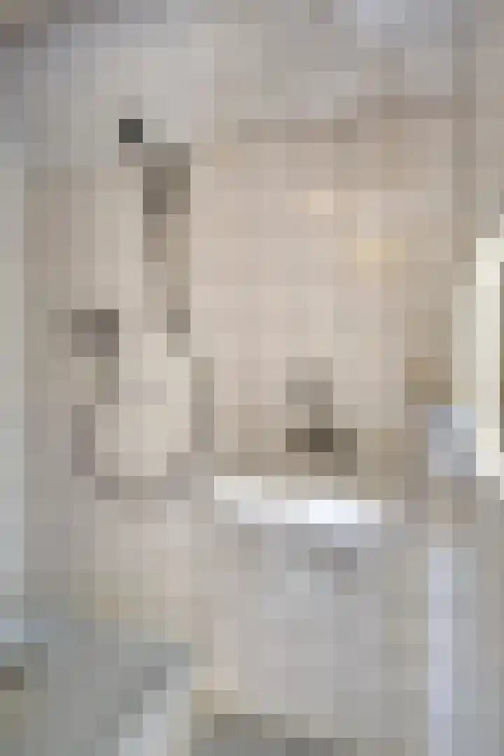 Liergouw 30 Amsterdam thumbnail 15