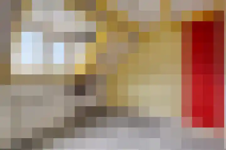 Liergouw 30 Amsterdam thumbnail 18