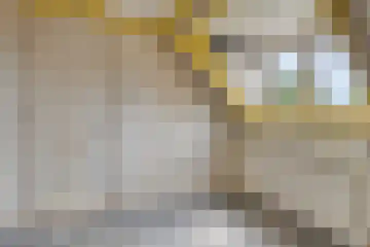 Liergouw 30 Amsterdam thumbnail 19