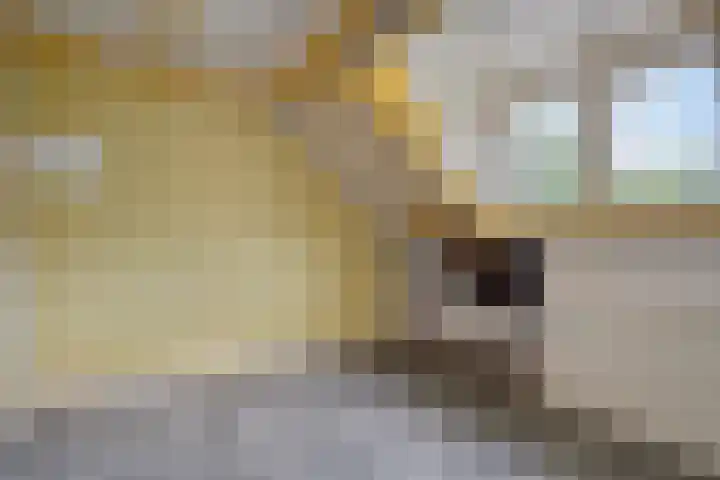 Liergouw 30 Amsterdam thumbnail 20