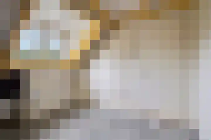 Liergouw 30 Amsterdam thumbnail 21