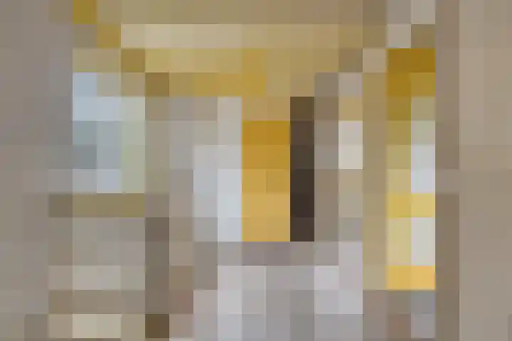 Liergouw 30 Amsterdam thumbnail 22
