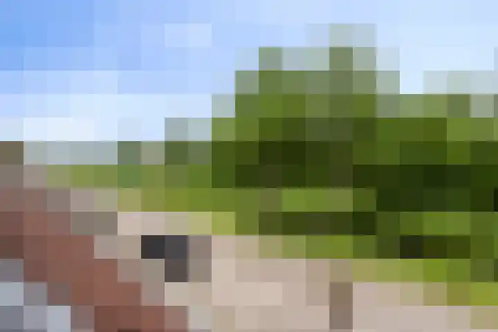 Liergouw 30 Amsterdam thumbnail 23