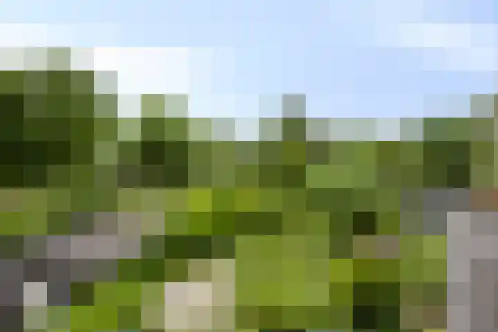 Liergouw 30 Amsterdam thumbnail 24
