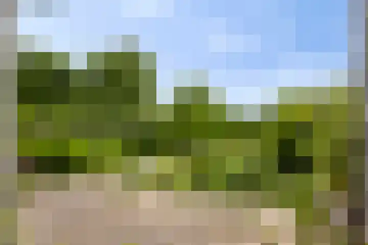 Liergouw 30 Amsterdam thumbnail 25