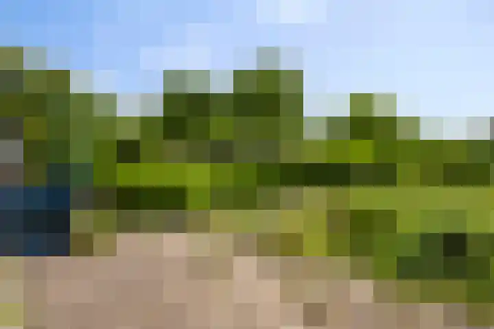 Liergouw 30 Amsterdam thumbnail 26