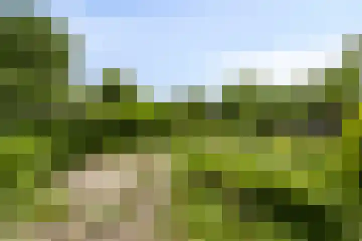 Liergouw 30 Amsterdam thumbnail 27