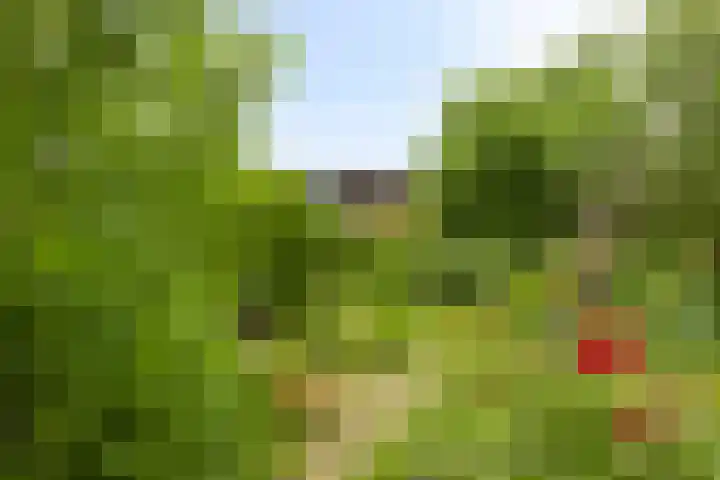 Liergouw 30 Amsterdam thumbnail 28