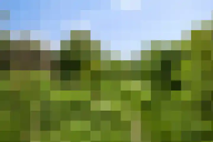 Liergouw 30 Amsterdam thumbnail 29